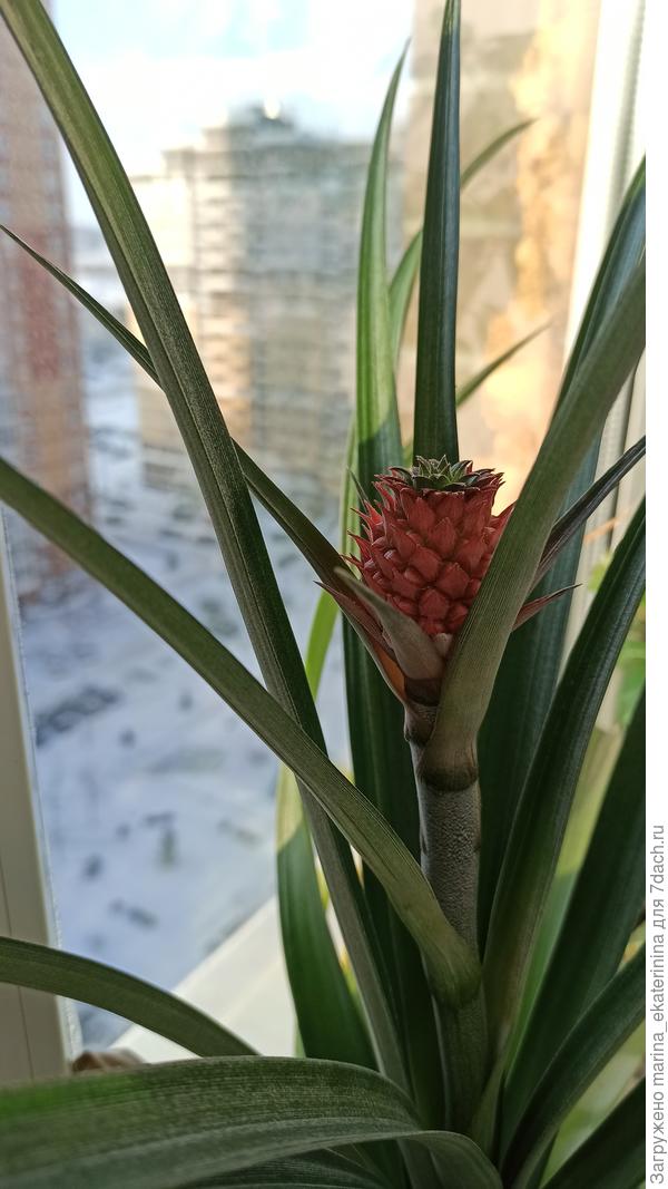 Неожиданно в феврале