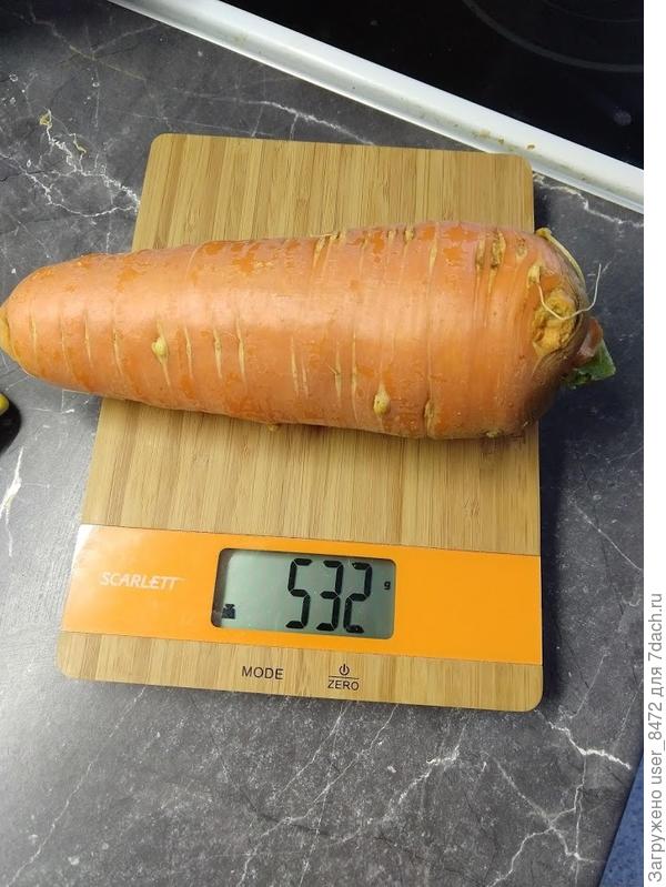 Хранить не буду, выпью соком. Для хранения посеяна в начале июня.