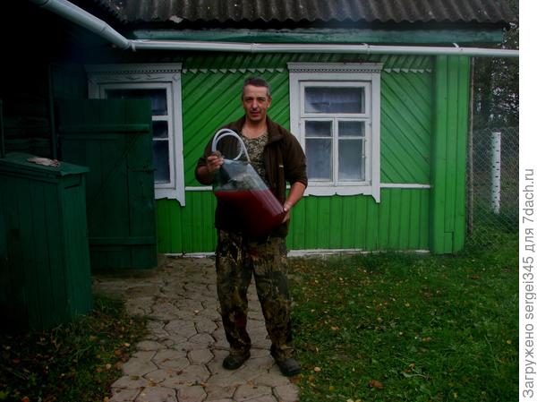 Вино, которое отходило. Осталось процедить, в бутылки и в погреб.