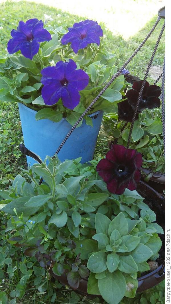 я люблю темные цвета! яркие, насыщенные.