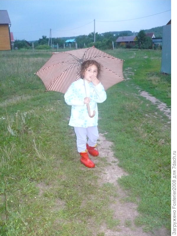 под зонтом и с холодным носом