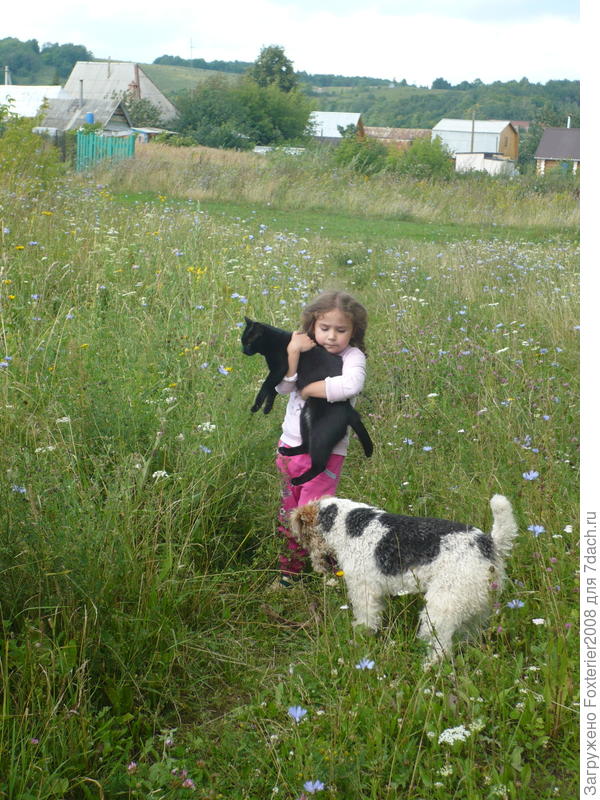 все свое ношу с собой