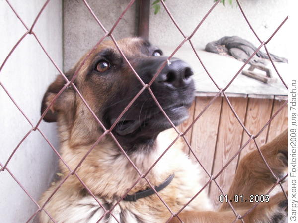 заберите меня отсюда!