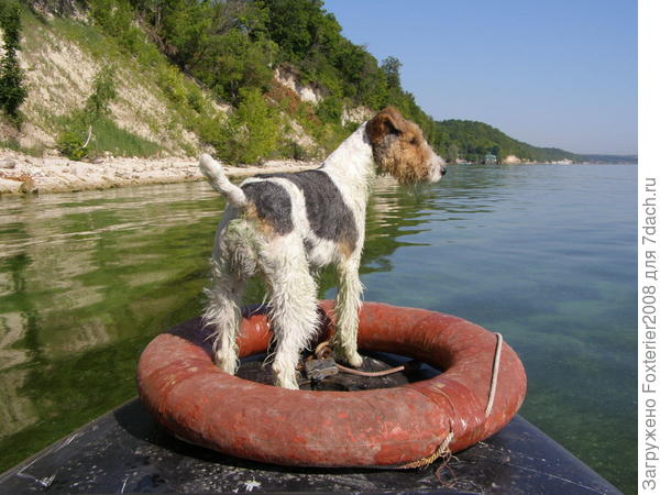 впередсмотрящий