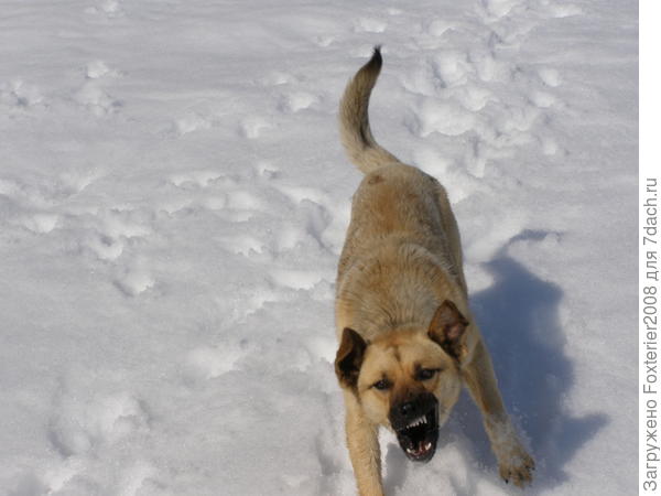 это он не страшный такой, а просто играть приглашает