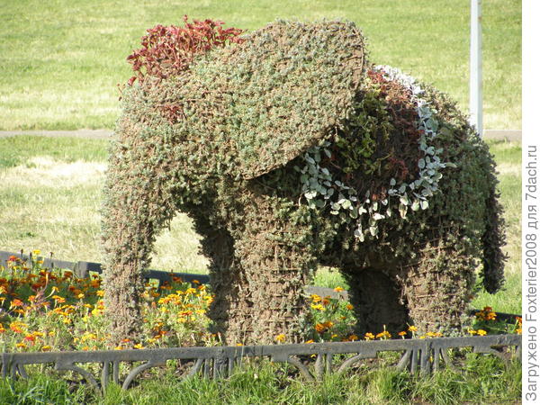 цветочный слоненок