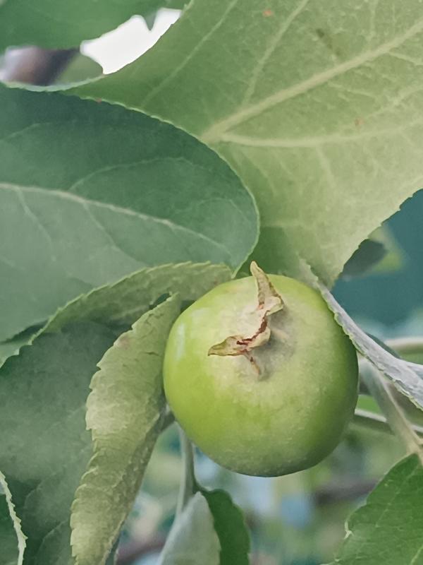 без повреждений