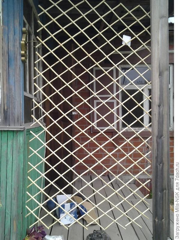 Сетка из ивы