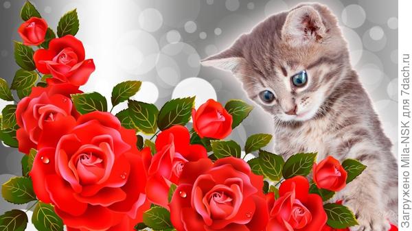 С днем рождения!