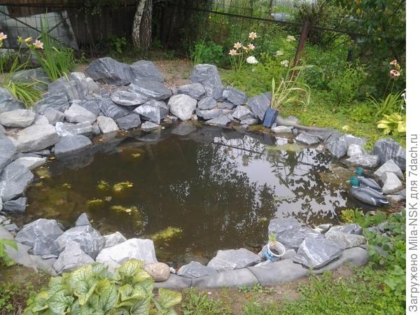 Пруд... пока не доделанный