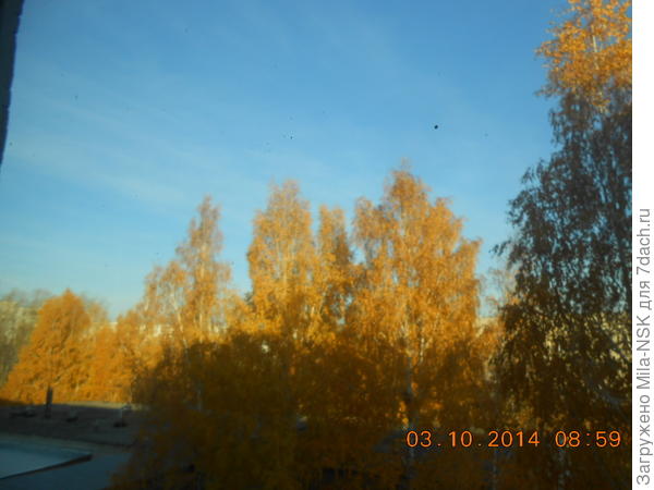 3 октября 2014