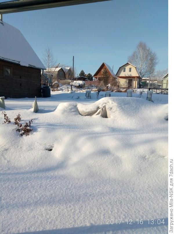 декабрь на даче