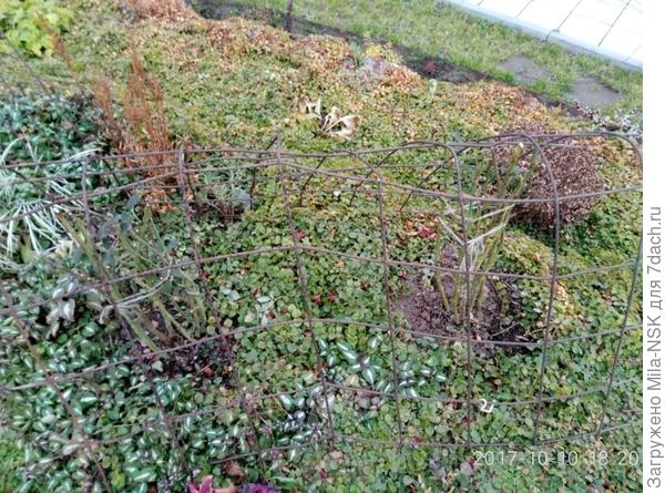 Каркас из строительной сетки