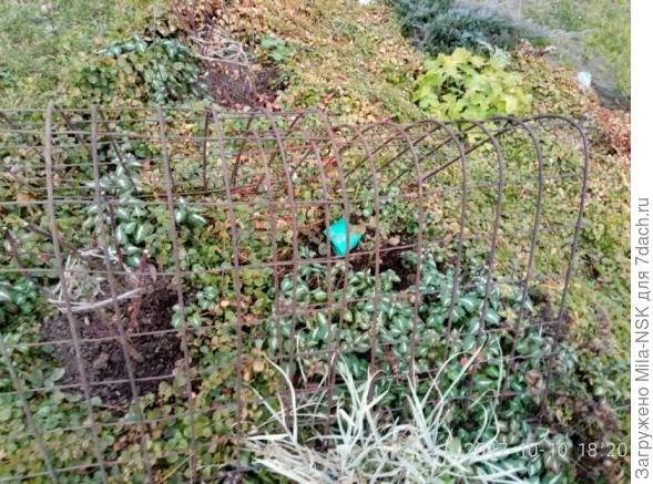 "Домик" из кладочной сетки