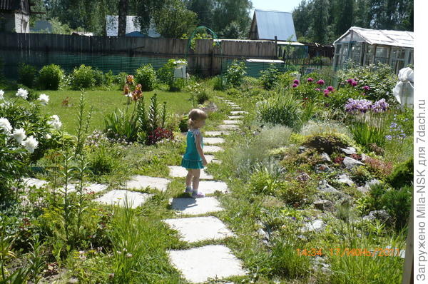 он же в июне 2011 г.