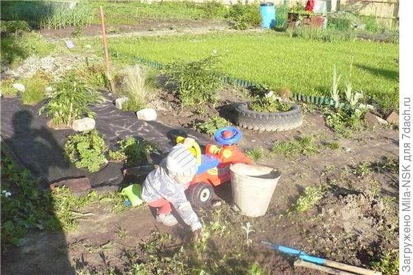 этот же участок в июне 2009 г.