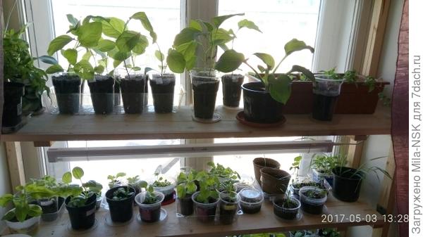 2-й и 3-й &quot;этажи&quot;