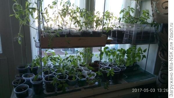 Старый стеллаж