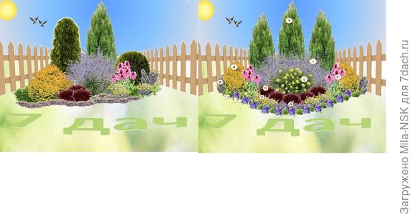 сравнение 3