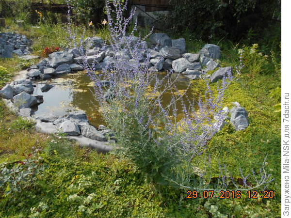 Перовския-второгодочка