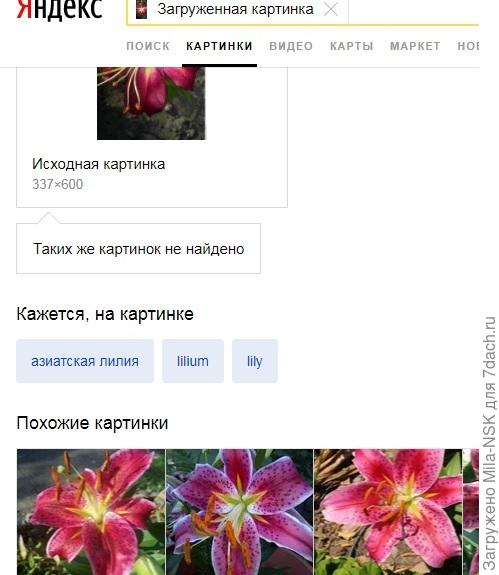 ... и видим похожие картинки... и там смотрим, что похоже на нашу...