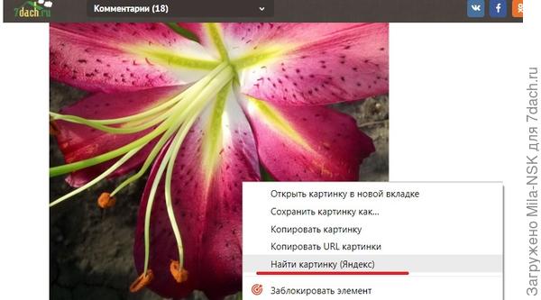 Картинка с вашего поста.  Красной чертой подчеркнута нужнаянам команда