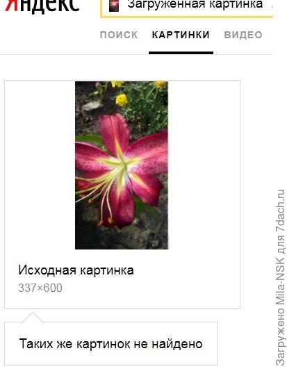 Кликнули на эту команду и нам в яндексе открылось вот это.  Исходная картинка, а нижее нам пишут, что точно таких же не надено... Поэтому спускаемся на этой странице вниз...