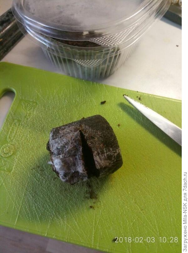 разрезаю оболочку