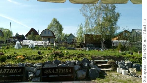 Вдалеке виден это парник.