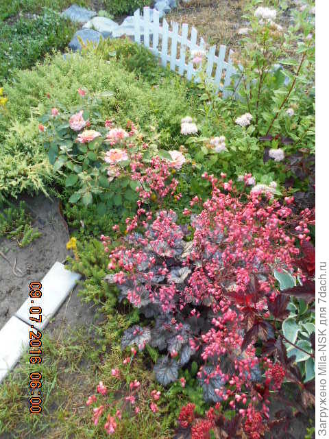 с другого ракурса