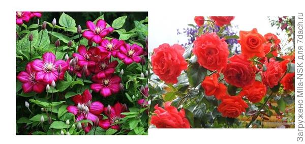 несовместимая совместимость