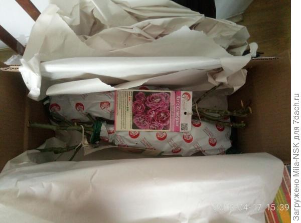 Розочки лежат очень плотно, не болтаются.