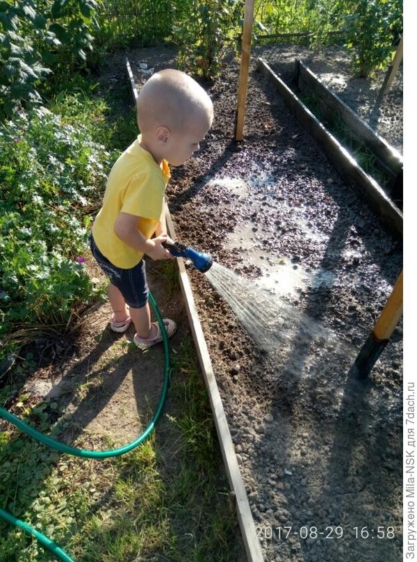 Грядки польем...