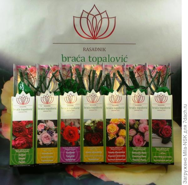 А вот этого уже 10-й год.