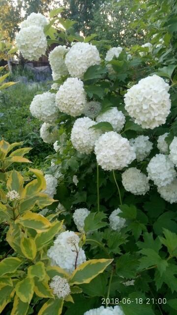 найди меня!