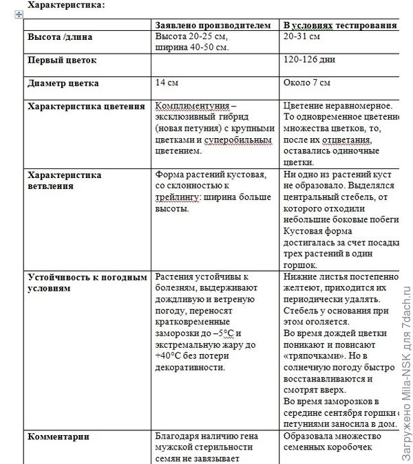 Итоговая сводная таблица