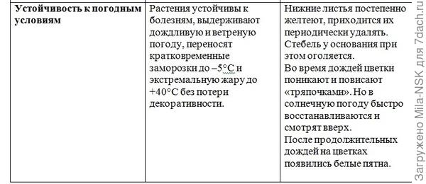 Итоговая сравнительная таблица