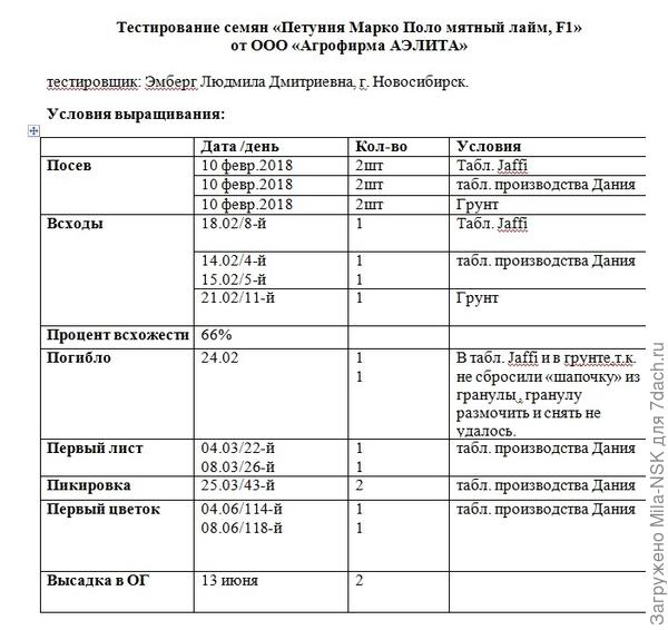 Итоговая сравнительная таблица