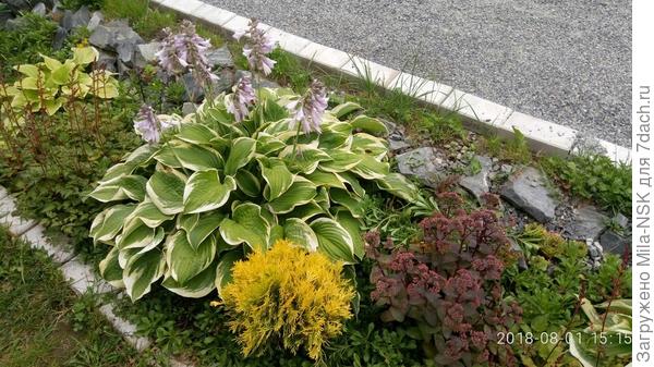 смотрим левее