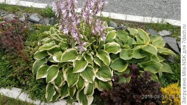 то же самое, но с другого ракурса