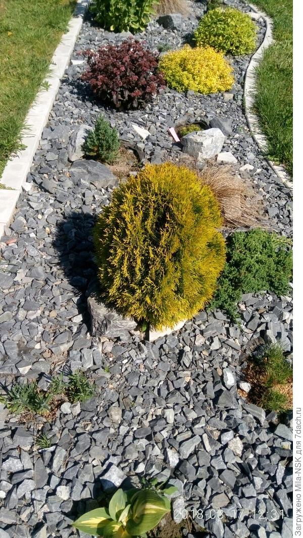 А теперь хоть в модный журнал!