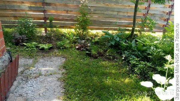 вот у меня цветник в тени.