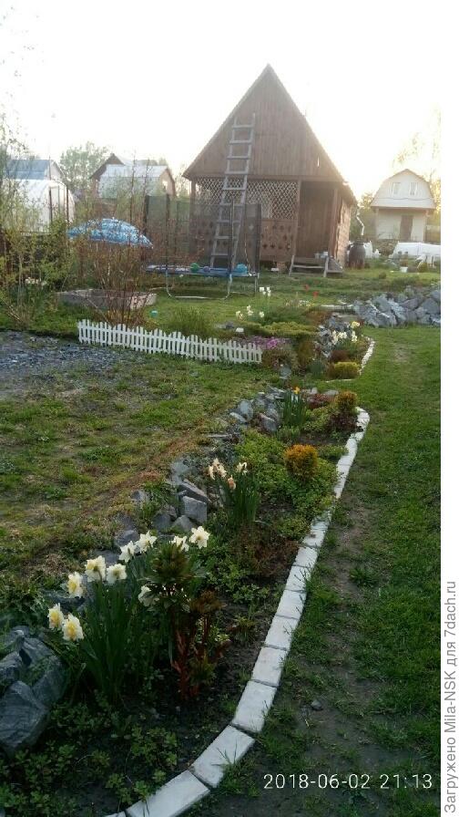 Это цветник, который на первом фото, только в июне... Как видите, здесь хосты еще в зачаточном состоянии. И есди бы не было др. растений, то он был бы пустой