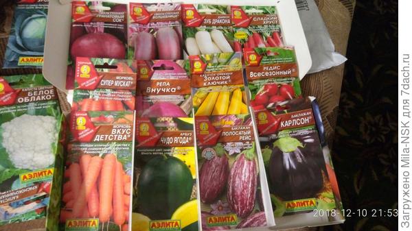 Морква и другое