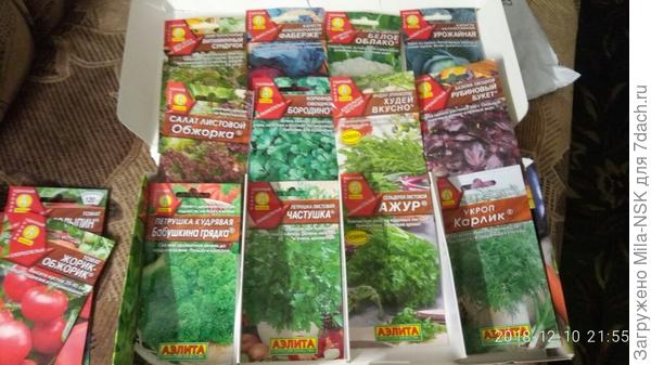 зеленушка всякая разная (моя любимая травка)