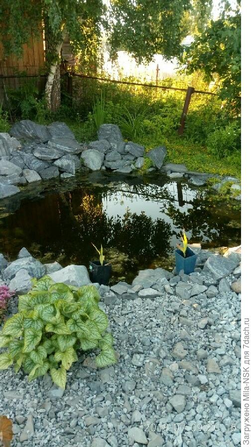 Издалека этот участок