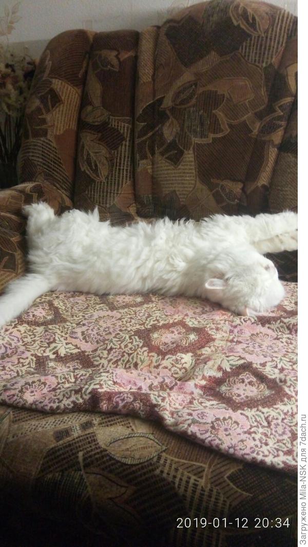 Это его любимая поза