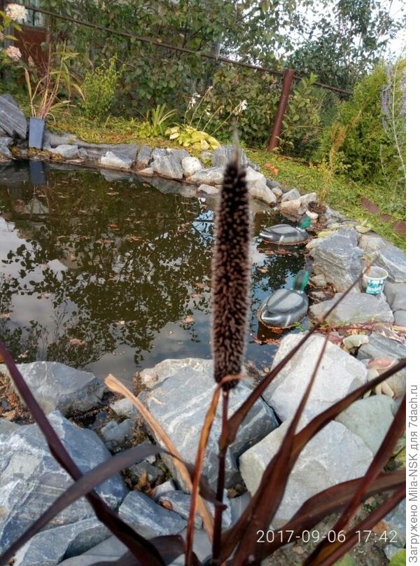 вот этот красотун