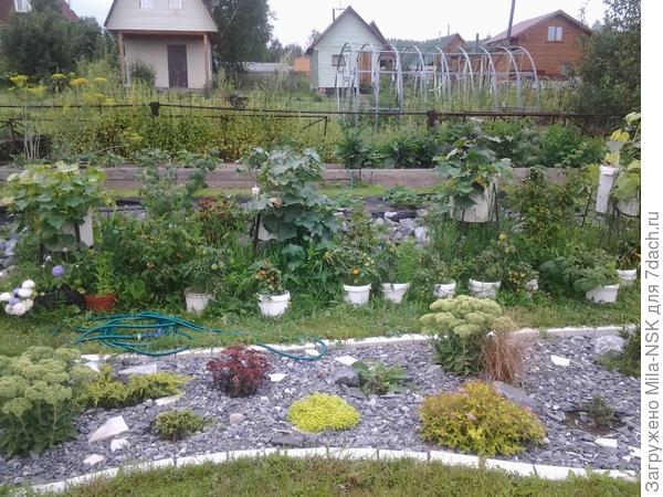 Вот у меня каменистый &amp;quot;садик&amp;quot; (еще в зачаточном состоянии), так я каждую неделю пропалываю камушки.