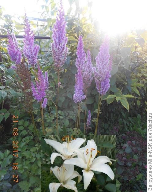 Вот поставила их вметсте